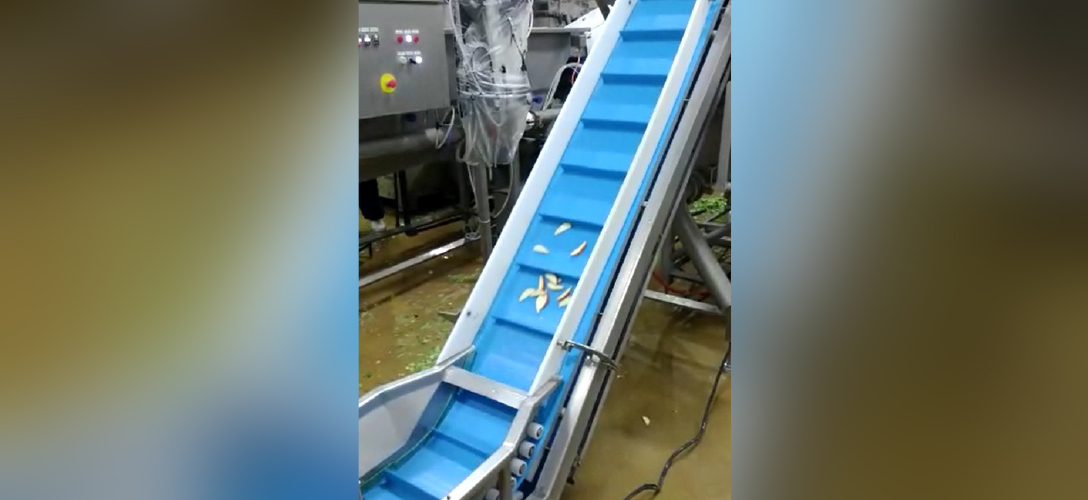 Volta Positive Drive Belt on Cut Appels Elevator