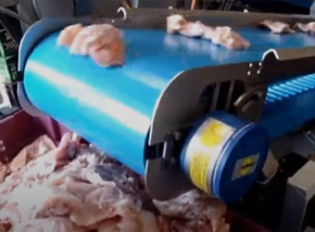 positive drive SuperDrive Poultry Horizontal