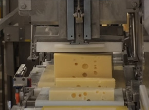 Food grade Dairy chees cutting Horizontal
