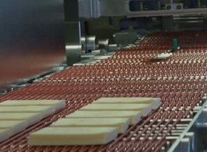 V and round Dairy  Cheese Profile belts