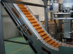 Positive drive SuperDrive Vegetables potato seasoning Elevator