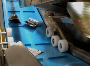 Positive drive SuperDrive Fish packaging Elevator