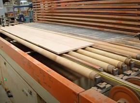 V and round Wood Profile belts