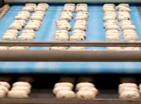 Food belts Bakery Horizontal